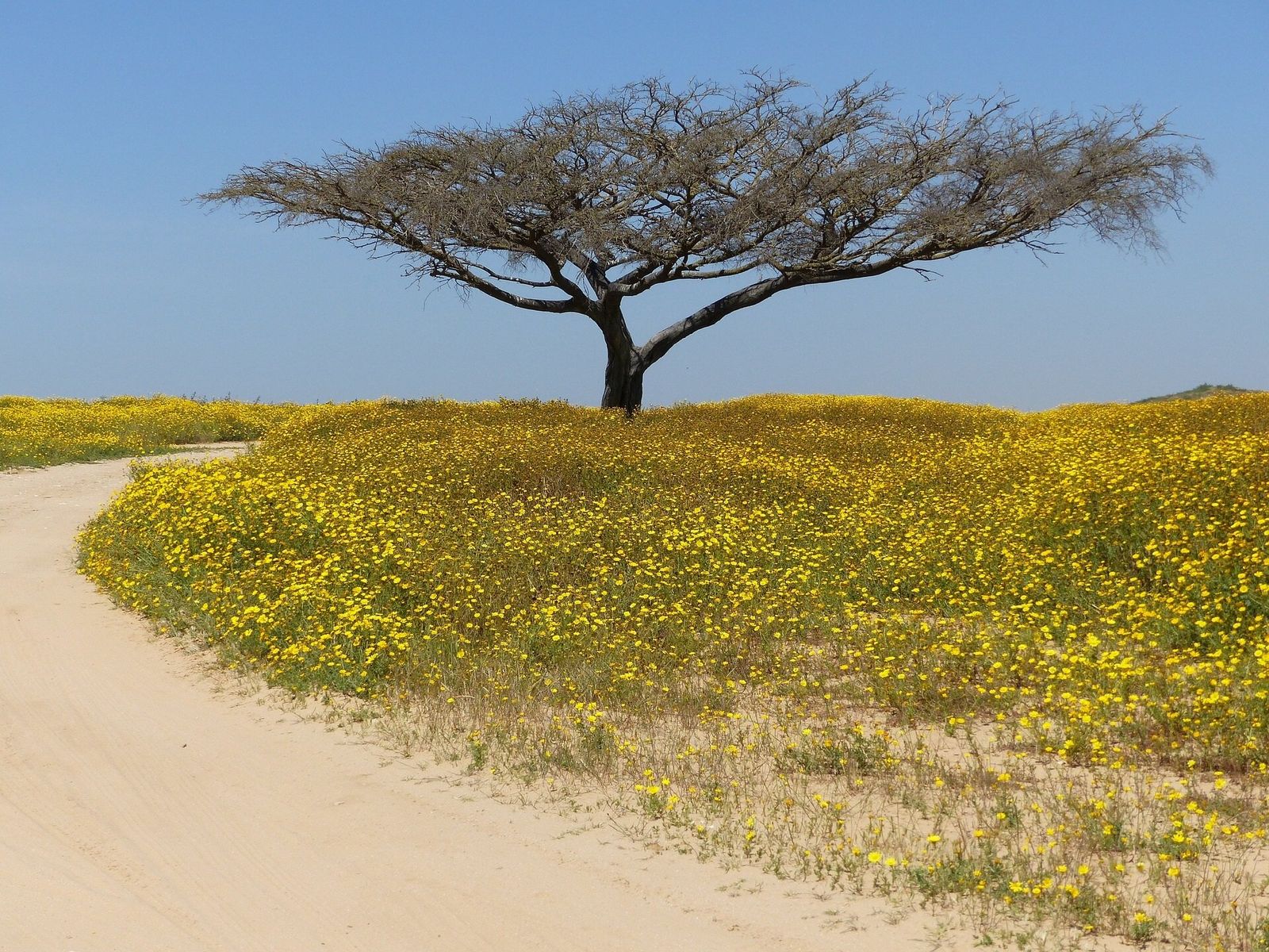 Noleggio auto a Ashdod
